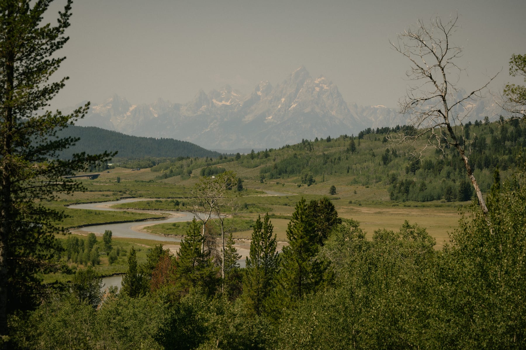 A wide Jackson Hole valley with a river winding through green meadows and stands of pine, the Teton Range rising in haze beyond.